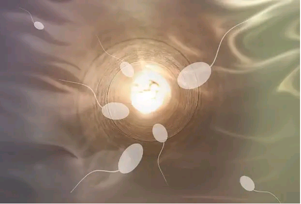 代妈交流群_二代供卵试管婴儿|内蒙古自治区2023
年最新供卵试管助孕医院排名
