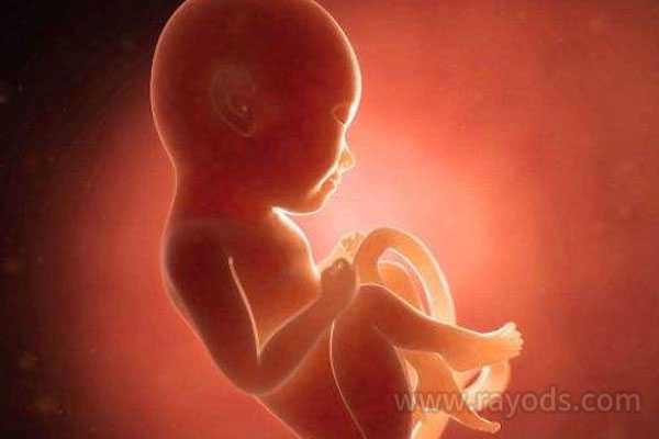 代孕地址_助孕群_第三代试管婴儿胚胎成功着床后要注意哪些方面