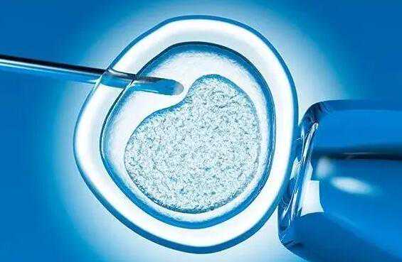 代孕成功经验_有人成功代孕么_促排卵是否会加速卵巢衰老？试管婴儿专家告诉