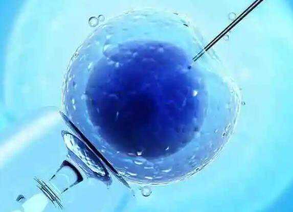 哪家医院可捐卵代孕_代孕产子包成功_做泰国试管婴儿除了身体素质好，还需要
