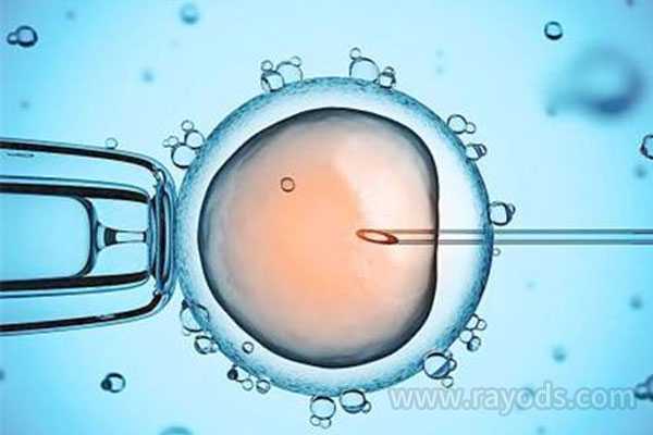 代孕包成功收费标准_代孕自选性别_试管婴儿寿命短是真的吗？