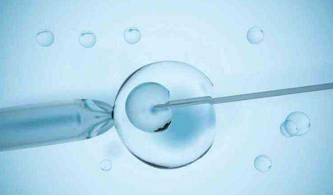 重庆高效的供卵试管网 在重庆西南医院供精做三代试管助孕成功率有多少？ ‘