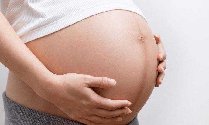 代孕产子要办理哪些手续_代孕哪家放心_请问做试管婴儿从开始到成功怀孕大概