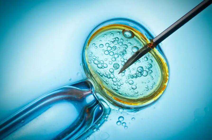 代孕中心哪间权威_代孕哪几个国家合法_哈尔滨供卵试管男孩的三甲医院有哪些