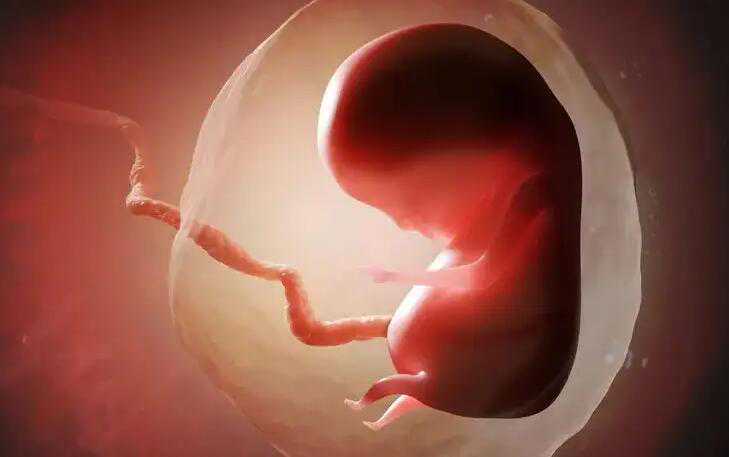 代孕植入试管婴儿过程_代孕有哪些_2022岳阳市妇幼保健院试管婴儿成功率一览，